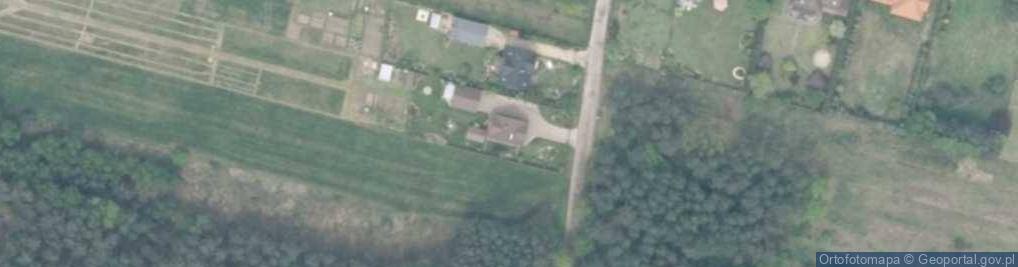 Zdjęcie satelitarne Witomin ul.