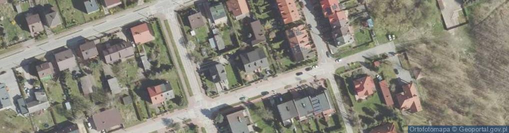 Zdjęcie satelitarne Witwickich ul.