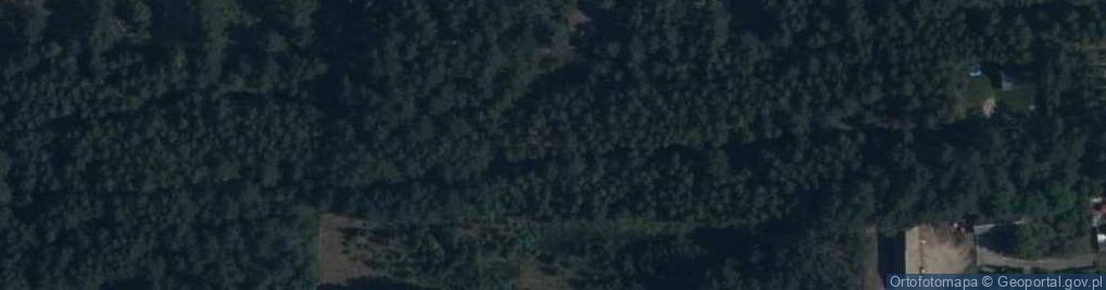 Zdjęcie satelitarne Wiekowej Sosny ul.