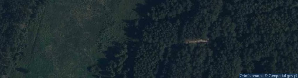 Zdjęcie satelitarne Wiekowej Sosny ul.