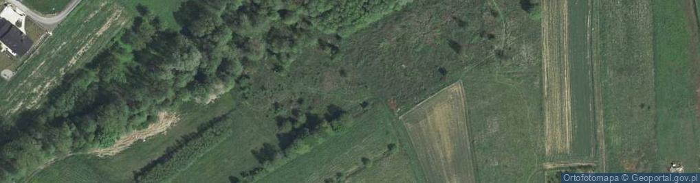 Zdjęcie satelitarne Wiejska ul.