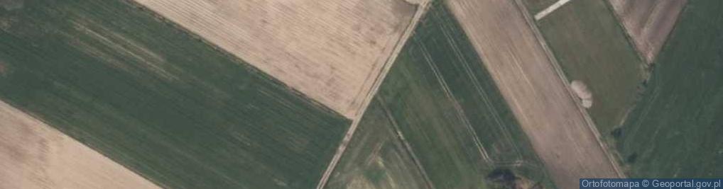 Zdjęcie satelitarne Widawa ul.