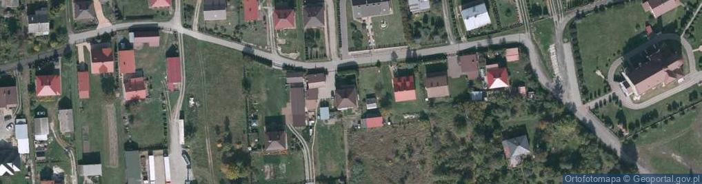 Zdjęcie satelitarne Widełka ul.