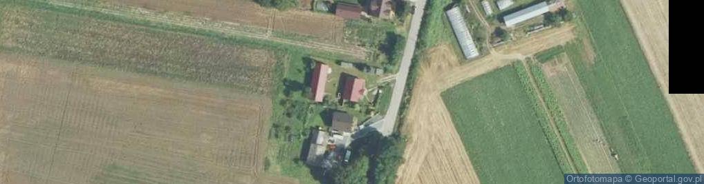 Zdjęcie satelitarne Wielgus ul.