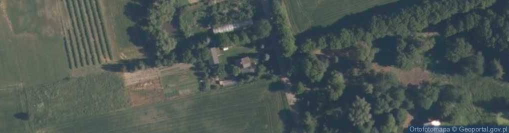 Zdjęcie satelitarne Wielka Wola ul.