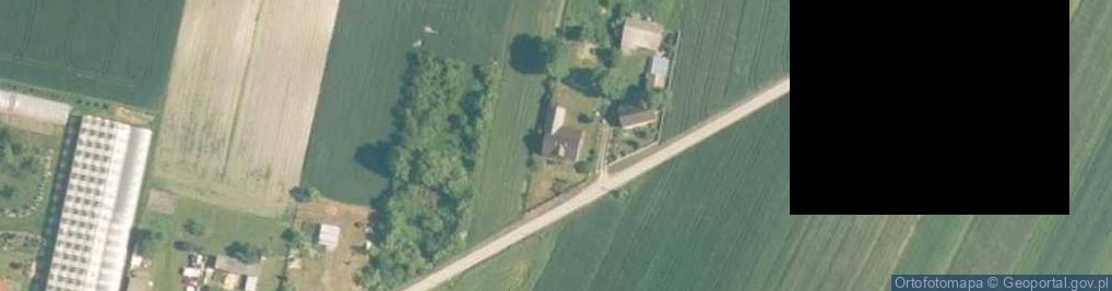 Zdjęcie satelitarne Wierzbica ul.
