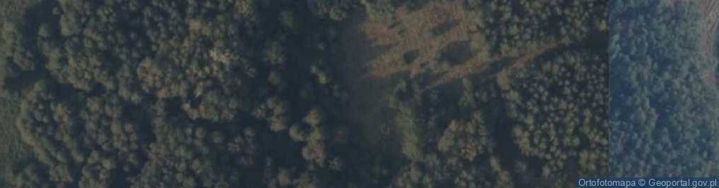Zdjęcie satelitarne Wiesiółka ul.