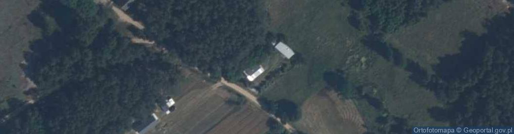 Zdjęcie satelitarne Wiktoria ul.