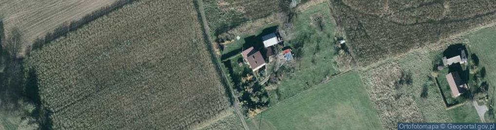 Zdjęcie satelitarne Wilcza ul.