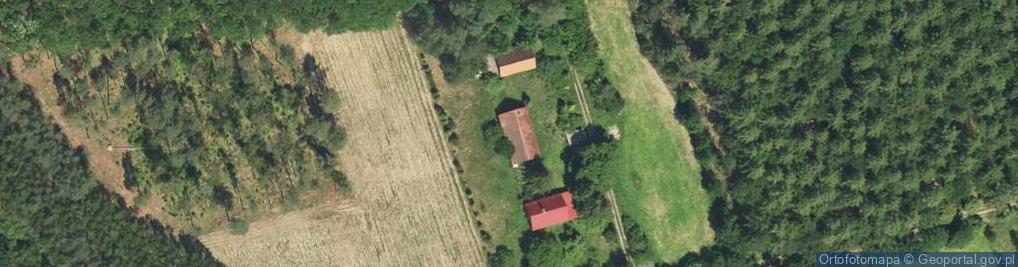 Zdjęcie satelitarne Wilczy Dół ul.