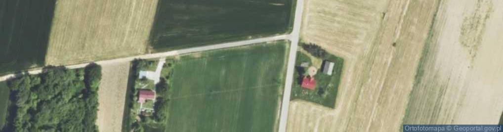 Zdjęcie satelitarne Wilgoszcza ul.
