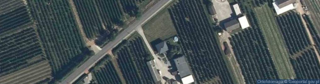 Zdjęcie satelitarne Wilhelmów ul.