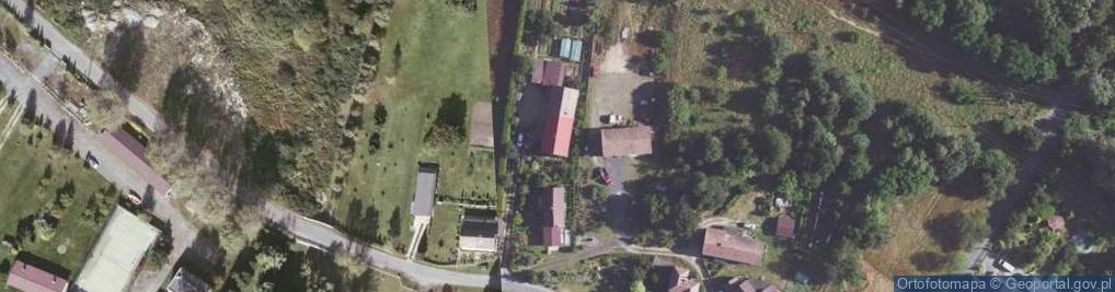 Zdjęcie satelitarne Wilka ul.