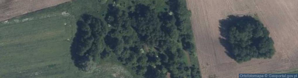 Zdjęcie satelitarne Wilki ul.