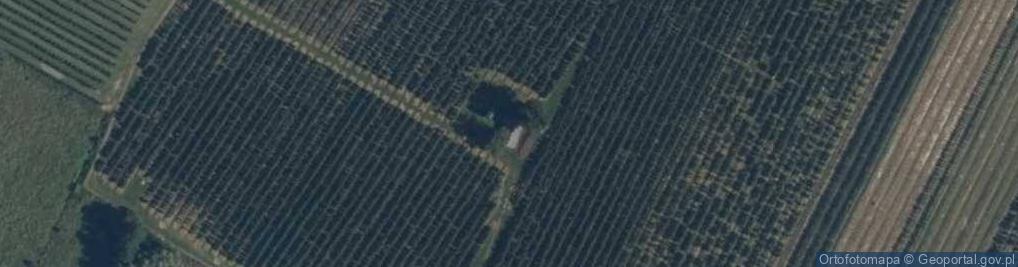 Zdjęcie satelitarne Wilkonice ul.