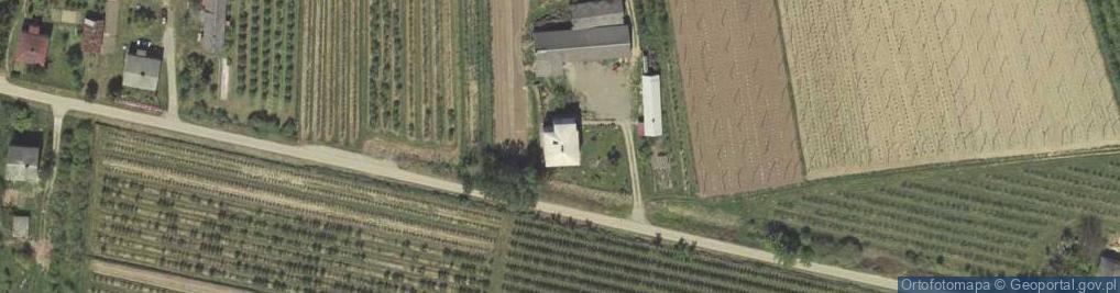 Zdjęcie satelitarne Wilków-Kolonia ul.