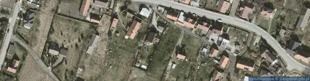 Zdjęcie satelitarne Wilkszyńska ul.