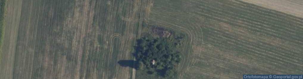 Zdjęcie satelitarne Wiśniew-Kolonia ul.