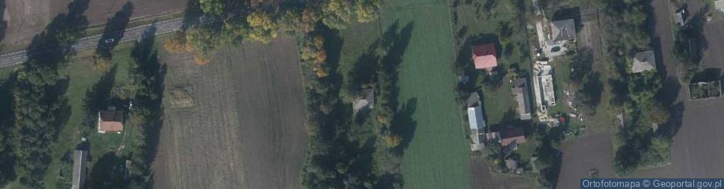 Zdjęcie satelitarne Witków ul.
