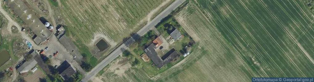 Zdjęcie satelitarne Witoldowo ul.