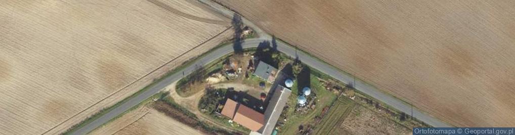 Zdjęcie satelitarne Witoldowo ul.