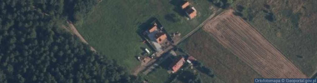 Zdjęcie satelitarne Witoszewo ul.