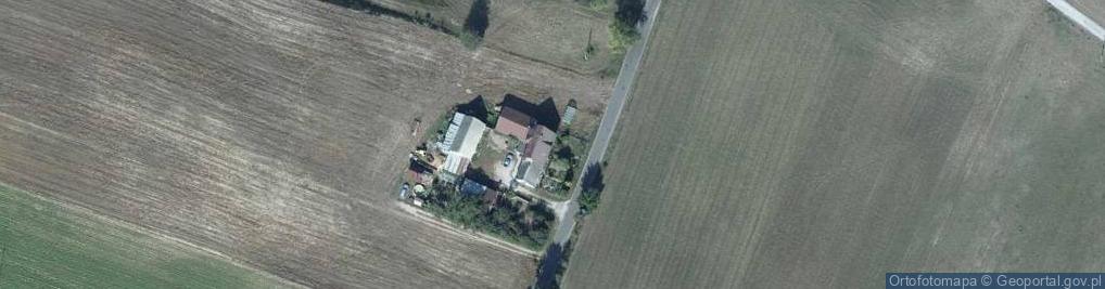 Zdjęcie satelitarne Witowąż ul.
