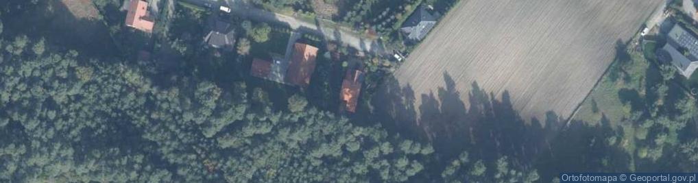 Zdjęcie satelitarne Wierzbowa ul.