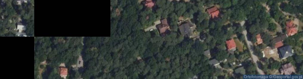 Zdjęcie satelitarne Wiekowej Sosny ul.