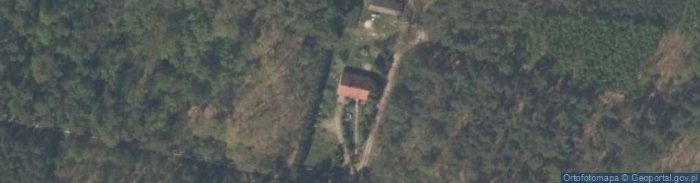Zdjęcie satelitarne Wojdówka ul.