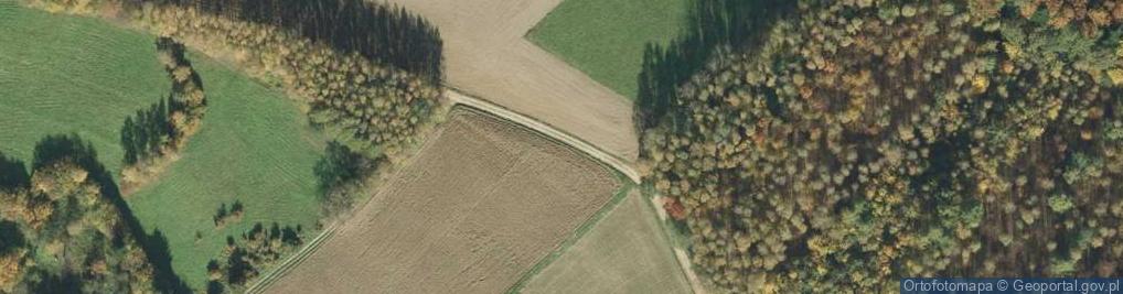 Zdjęcie satelitarne Wołowa ul.