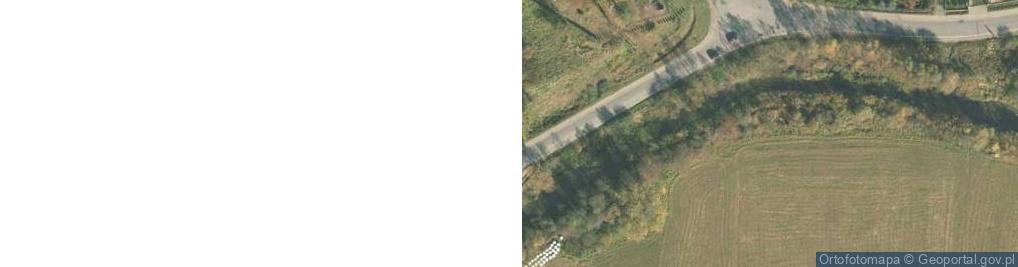 Zdjęcie satelitarne Wolności ul.