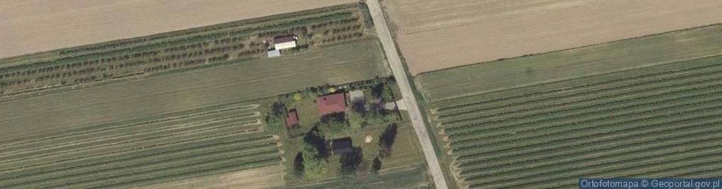Zdjęcie satelitarne Wojciechów-Kolonia Pierwsza ul.