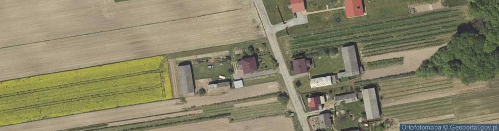 Zdjęcie satelitarne Wojciechów-Kolonia Pierwsza ul.