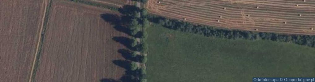 Zdjęcie satelitarne Wojnówka ul.