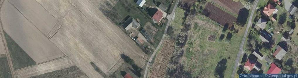 Zdjęcie satelitarne Wola Buchowska ul.