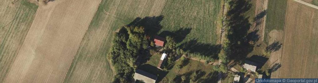 Zdjęcie satelitarne Wola Dziankowska ul.