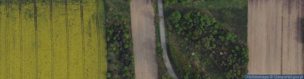 Zdjęcie satelitarne Wola Hankowska ul.