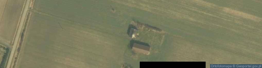 Zdjęcie satelitarne Wola Niedźwiedzia ul.