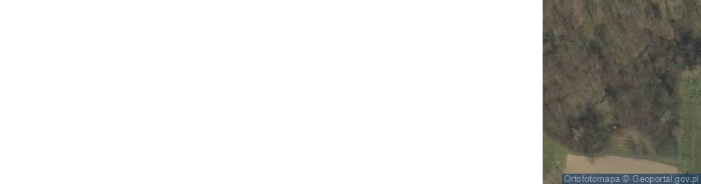 Zdjęcie satelitarne Wola Nieszkowska ul.