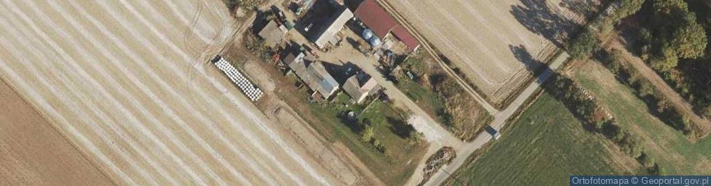 Zdjęcie satelitarne Wola Olszowa-Parcele ul.