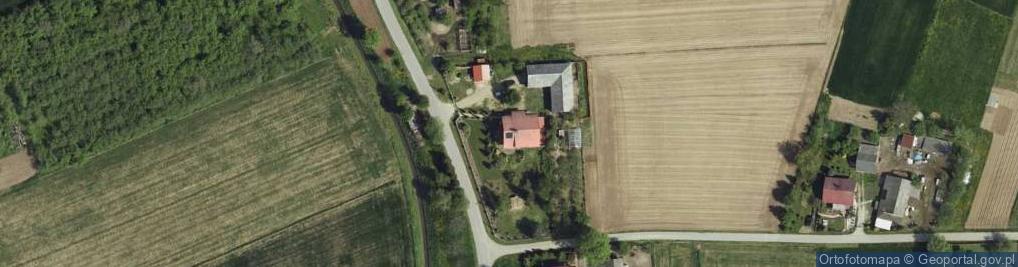 Zdjęcie satelitarne Wola Szczucińska ul.