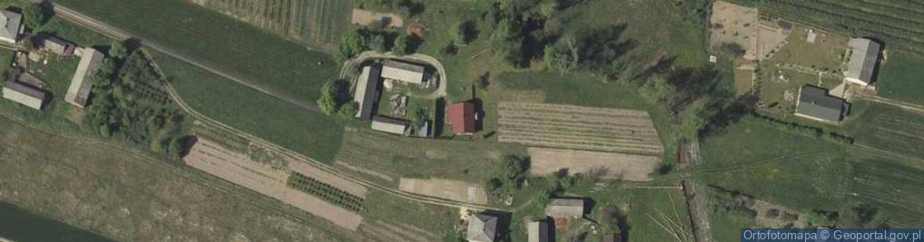 Zdjęcie satelitarne Wola Trzydnicka ul.
