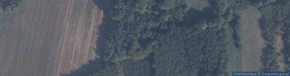Zdjęcie satelitarne Wola Wadowska ul.