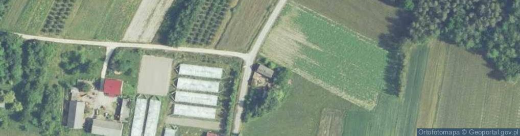 Zdjęcie satelitarne Wola Zofiowska ul.