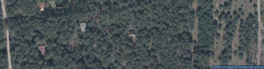 Zdjęcie satelitarne Wólka Dłużewska ul.