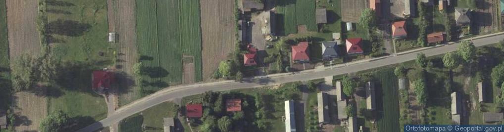 Zdjęcie satelitarne Wólka Horyszowska ul.