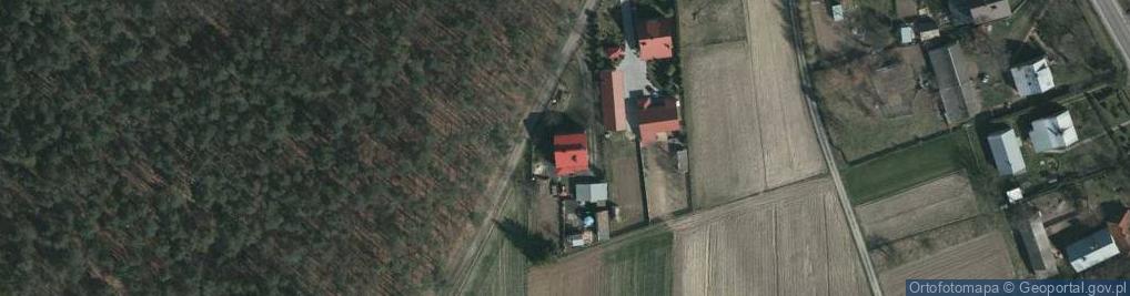 Zdjęcie satelitarne Wólka Ogryzkowa ul.