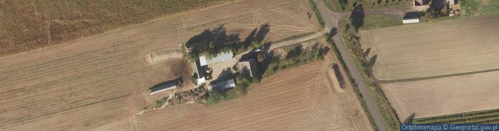 Zdjęcie satelitarne Wólka Paruszewska ul.