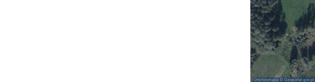 Zdjęcie satelitarne Wólka Poznańska ul.